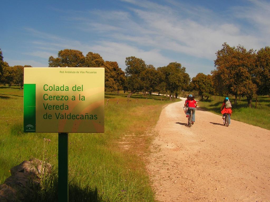 Apartamentos La Venta Del Charco Cardeña Exteriör bild