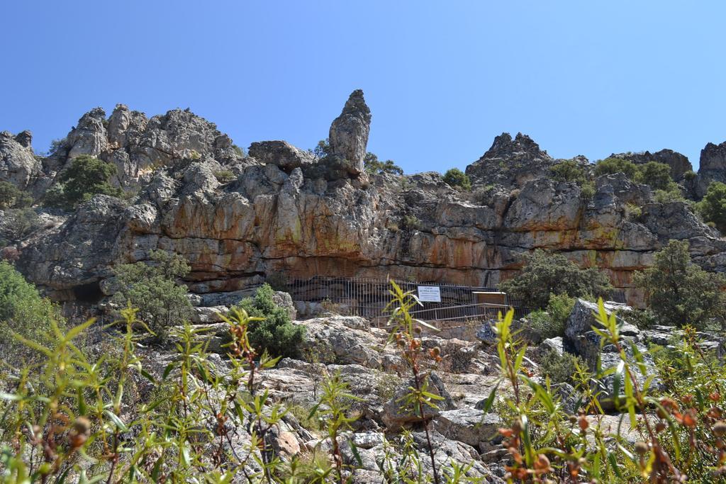 Apartamentos La Venta Del Charco Cardeña Exteriör bild