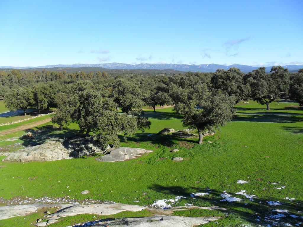 Apartamentos La Venta Del Charco Cardeña Exteriör bild