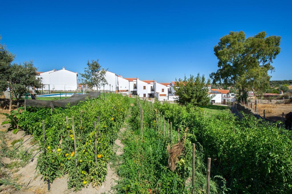 Apartamentos La Venta Del Charco Cardeña Exteriör bild